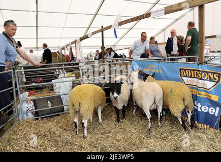 Ingliston, UK. 24th June, 2022. People visit the Royal Highland Show in Ingliston, near Edinburgh in Scotland, the United Kingdom, June 24, 2022. The 4-day Royal Highland Show celebrates its 200th anniversary of the first Show held in 1822. Credit: Han Yan/Xinhua/Alamy Live News Stock Photo