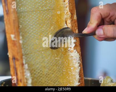 Natural raw honey being filtered ad dripped through a strainer to filter our bees wax. Stock Photo