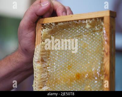 Natural raw honey being filtered ad dripped through a strainer to filter our bees wax. Stock Photo