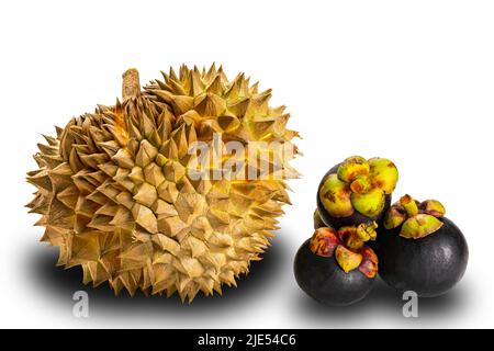 Side view closeup of freshly harvested with sharp spike peel whole durian and pile of delicious mangosteen isolated on white background with clipping Stock Photo