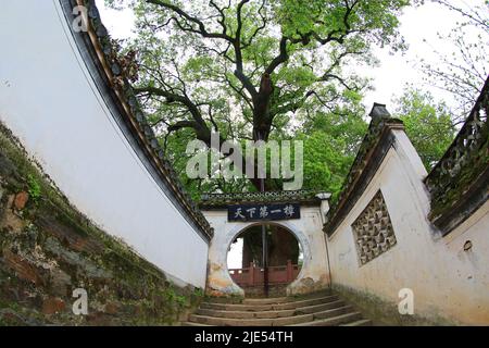 Xin an river landscape gallery Stock Photo