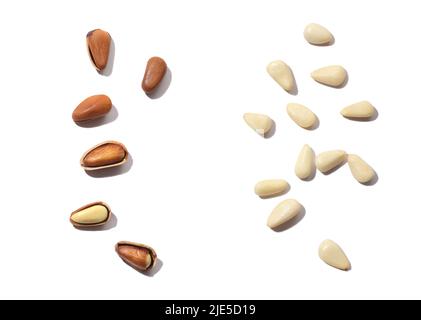 Pine seeds, pine nuts Stock Photo