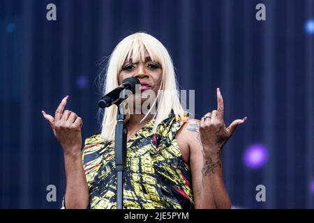 Landgraaf, Netherlands 19 june 2022 Nile Rodgers & Chic live at Pinkpop Festival 2022 © Roberto Finizio/ Alamy Stock Photo