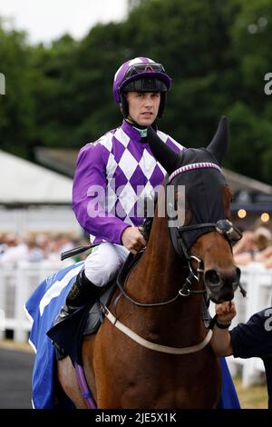 Raatea ridden by Jason Hart wins the Pertemps Network Handicap during day three of the Northumberland Plate Festival at Newcastle Racecourse. Picture date: Saturday June 25, 2022. Stock Photo