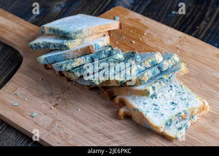 spoiled and completely covered with mold white wheat potion on the table, spoiled food wheat flour bread Stock Photo