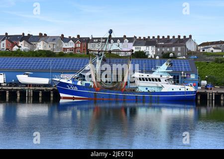 Milford Haven harbour, Milford Haven, Pembrokeshire, Wales Stock Photo