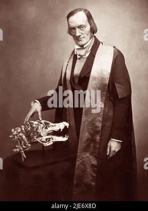 Sir Richard Owen KCB FRS (1804-1892) English biologist, comparative anatomist, and paleontologist who coined the term dinosauria, from which we derive the word dinosaur. Owen was an outspoken critic of Charles Darwin's theory of evolution by natural selection. Photo: 1856. Stock Photo