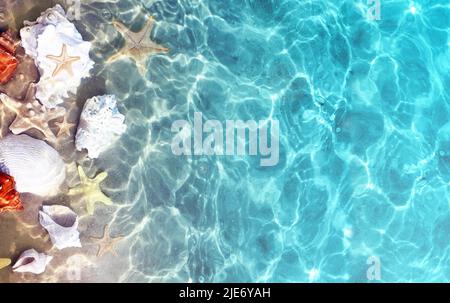 Starfish and seashells on the summer beach in sea water. Summer blue background. Summer time. Stock Photo