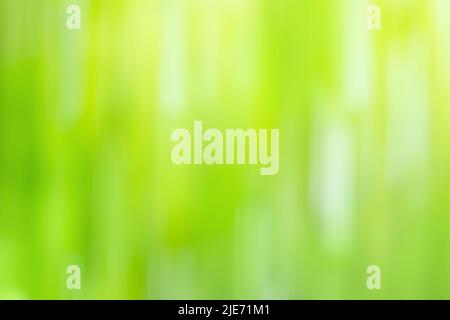 Pistachio color blur bokeh. Abstract green blurred gradient background with light. Stock Photo