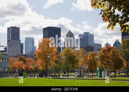 Downtown Montreal skyline through trees in autumn, Old Montreal, Quebec, Canada. Stock Photo