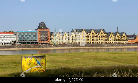 Modern residential buildings on river banks of Rhine river in Cologne Stock Photo