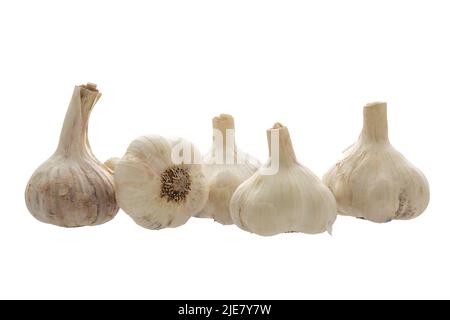 Image of a bunch of garlic on a white background Stock Photo
