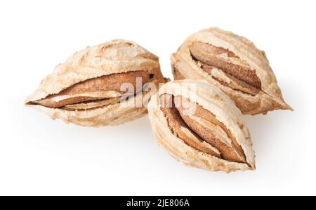 Almonds isolated on white background with clipping path Stock Photo
