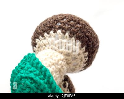 The vintage handmade Knitting patterns. Mushroom. Stock Photo