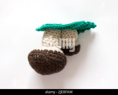 The vintage handmade Knitting patterns. Mushroom. Stock Photo