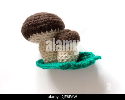 The vintage handmade Knitting patterns. Mushroom. Stock Photo