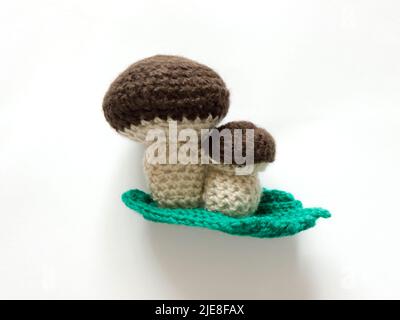 The vintage handmade Knitting patterns. Mushroom. Stock Photo