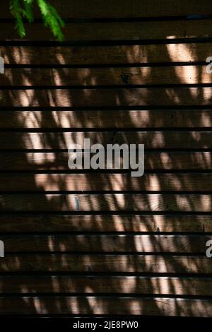 On a dark wooden fence, the sun's rays shine through the branches of the trees. Beautiful background Stock Photo