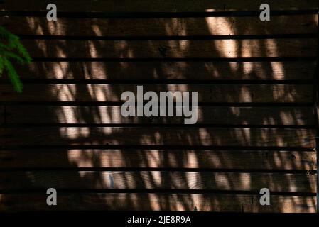 On a dark wooden fence, the sun's rays shine through the branches of the trees. Beautiful background Stock Photo