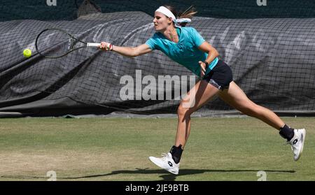 Distinguishing Between ATP and WTA Professional Circuits Distinguishing Between ATP and WTA Professional Circuits