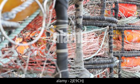 Traps, ropes and cages on pier, commercial dock, fishing industry