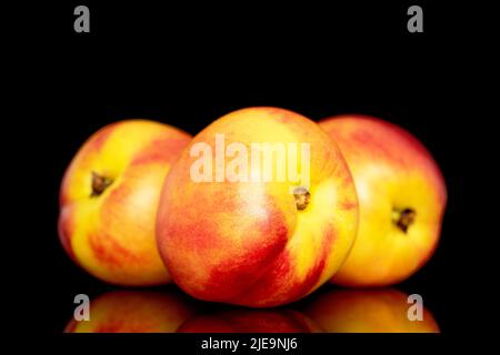 Three sweet organic nectarines, close-up isolated on a black background. Stock Photo