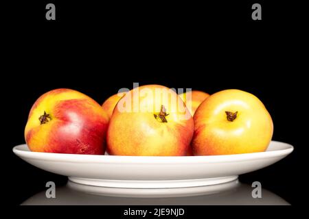 Several sweet organic nectarines on a white ceramic plate, close-up isolated on a black background. Stock Photo