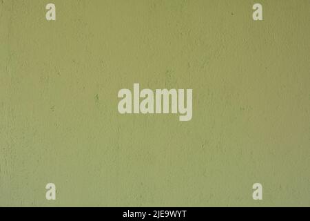 Abstract light green wall plastered texture. uneven background Stock Photo