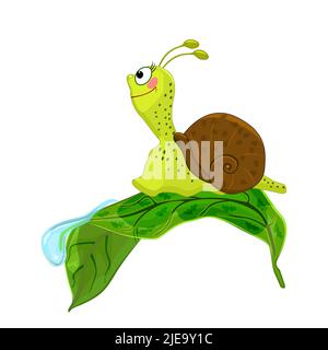 Snail on leaf. Cartoon cochlea on green leaf with dew drop. Snail crawling on garden or forest grass. Funny slug  in summer nature.Vector illustration Stock Vector