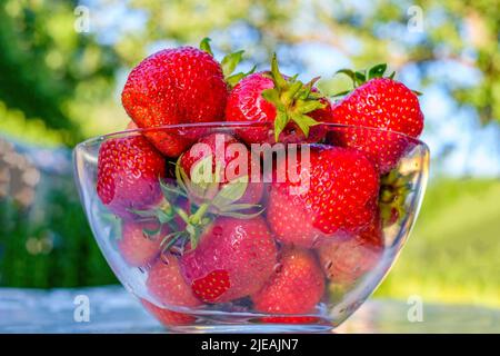 Strawberry. Large freshly picked strawberries in glass container. Rays of sun Stock Photo