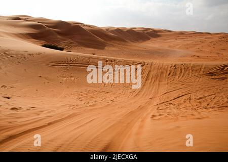 Late evening walk in the Wahiba desert, Oman Stock Photo