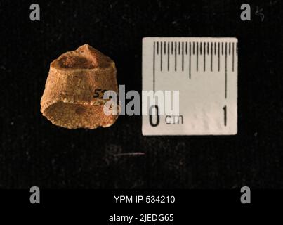 Goniatites sp. Stock Photo
