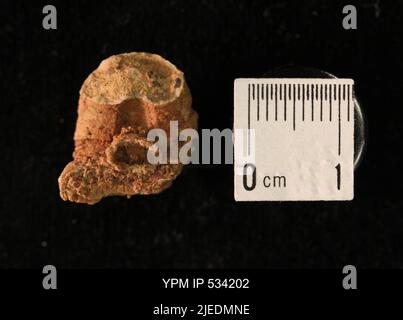Goniatites sp. Stock Photo
