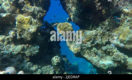 Red Sea, Egypt. 26th June, 2022. Sailing through a rift in a coral reef. Sun rays in beautiful underwater canyon in the Red Sea, Egypt (Credit Image: © Andrey Nekrasov/ZUMA Press Wire) Stock Photo