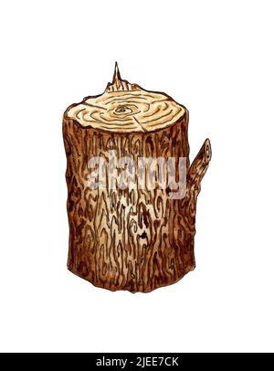 Log watercolor illustration. A straight cut of a tree. For the design of design compositions on the theme of tourism, hiking, outdoor recreation. isol Stock Photo