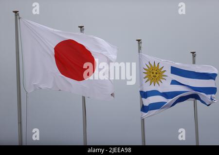 Fukuoka, Japan. 25th June, 2022. General View Rugby : LipovitanD Challenge Cup 2022 match between Japan 43-7 Uruguay at Mikuni World Stadium Kitakyushu in Fukuoka, Japan . Credit: SportsPressJP/AFLO/Alamy Live News Stock Photo