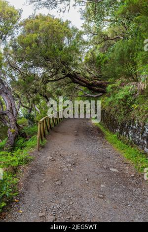 Levada do Risco hiking trail near Rabacal in Madeira Stock Photo