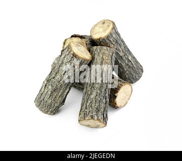 Firewood isolated on white. Oak Log Isolated on a white. Log fire wood isolated on white background with clipping path. Wooden obsolete log. Stock Photo
