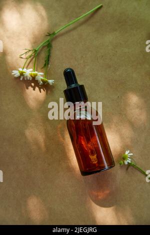 Glass amber cosmetic dropper bottle with black lid with shadows and chamomile flowers on natural background . Skincare products , natural cosmetic. Beauty wellbeing product for face and body care Stock Photo