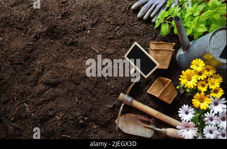 Garden tools and flower plants on soil background, top view, copy space. Agriculture and Spring Gardening works template Stock Photo