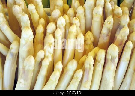 Frischer weisser Spargel, weißer Spargel, Spargelspitzen, Spargelköpfe, Stock Photo