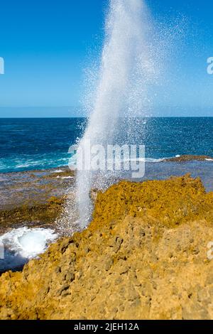 Blow holes bei Carnarvon, Australien, Wasserfontäne, Schlaglöcher, Stock Photo