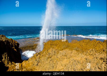 Blow holes bei Carnarvon, Australien, Wasserfontäne, Schlaglöcher, Stock Photo