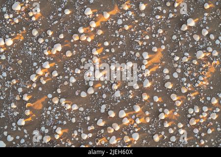 Sand and cockle shells at sunset on Southerness Beach, Dumfries and Galloway, Scotland Stock Photo