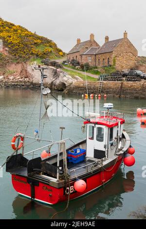 Fishing boat in Cove harbour, Berwickshire, Scotland Stock Photo