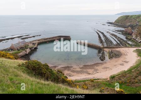 Cove harbour, Berwickshire, Scotland Stock Photo