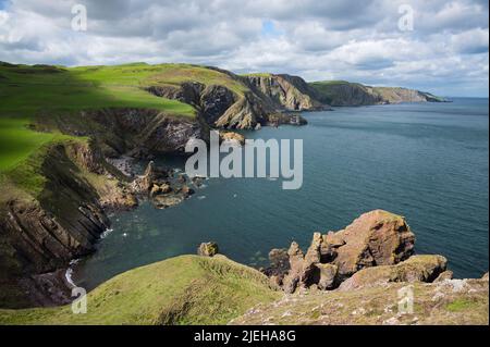 Cliffs along the Berwickshire coast viewed from Pettico Wick, near St Abb's Head, Berwickshire, Scotland Stock Photo