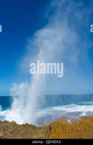 Blow holes bei Carnarvon, Australien, Wasserfontäne, Schlaglöcher, Stock Photo