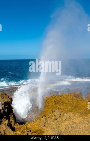 Blow holes bei Carnarvon, Australien, Wasserfontäne, Schlaglöcher, Stock Photo