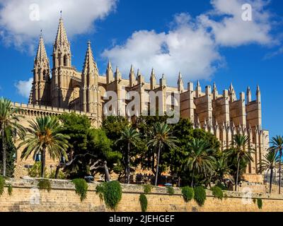 Spanien, Mallorca, Palma. Die Kathedrale 'La Seu' als Touristenatrraktion in der Stadtmitte, blauer Himmel, Schönwetterwolken, Cumulus, Wolken, Stock Photo